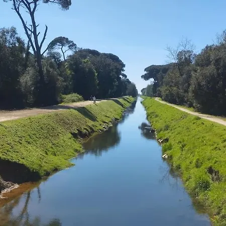 Marta - La Limoncella Torre del Lago Puccini